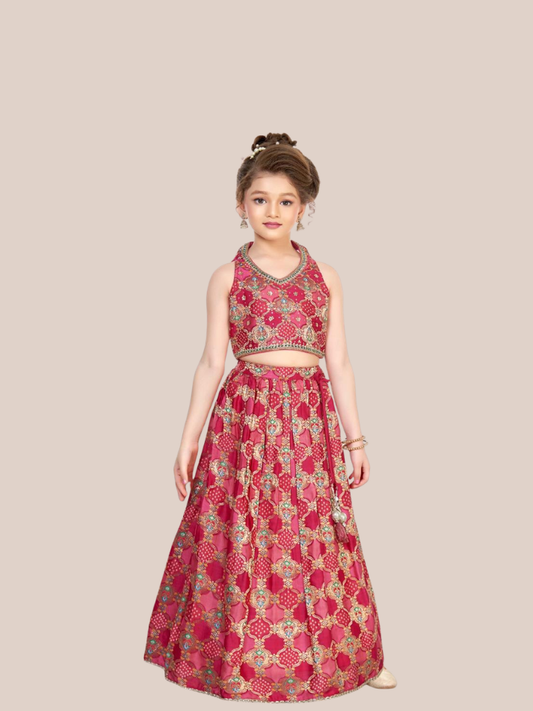 Girls Embroidered Lehenga Choli Party Wear Ethnic Set