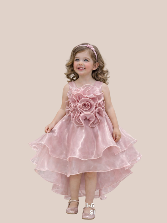 Albion Girls wine Floral Party Dress High Low Princess Fancy Frock