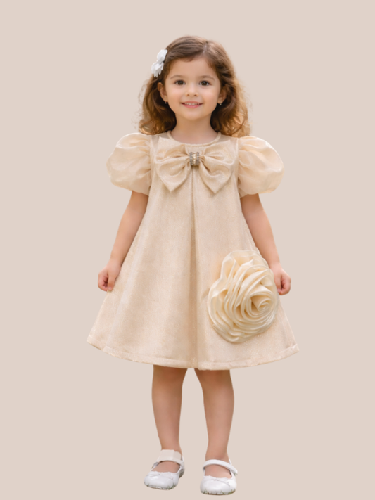Albion Girls Party Wear Shimmer Bow Dress with Puff Sleeves