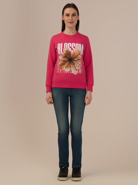 Albion Women Winter Stylish Sweatshirt Beautiful Color