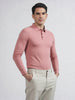 Albion Premium Men's Winter Casual Peach T-Shirt