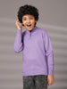 Albion By CnM Kids Boys L PURPLE PULLOVER