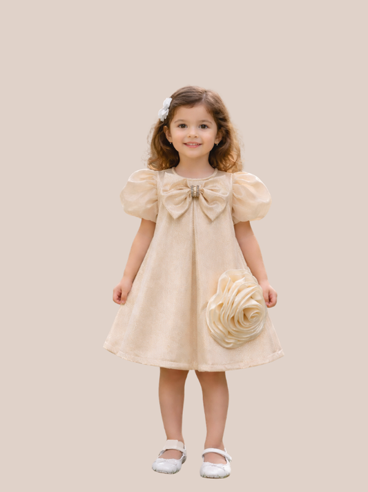 Albion Girls Party Wear Shimmer Bow Dress with Puff Sleeves