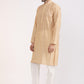 Albion Men Premium  Kurta Pyjama