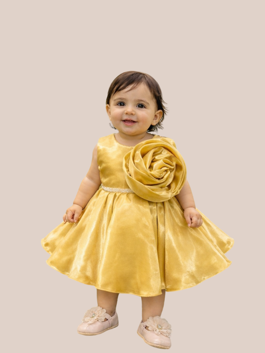 Albion Baby Girl Golden mustrad Floral Party Dress Princess Fancy Frock