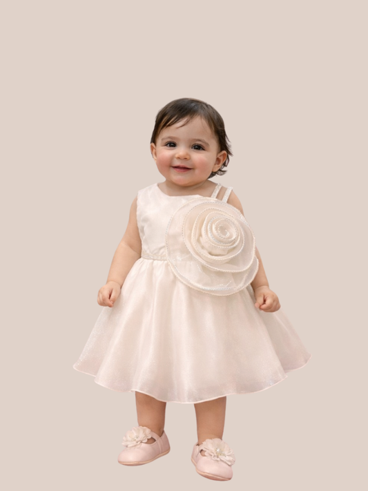 Albion Baby Girl Cream Floral Party Dress Princess Fancy Frock