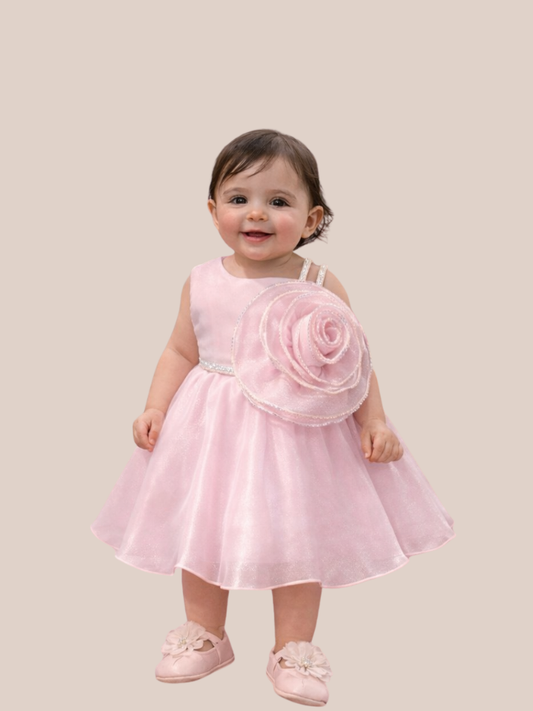 Albion Baby Girl Pink Floral Party Dress Princess Fancy Frock