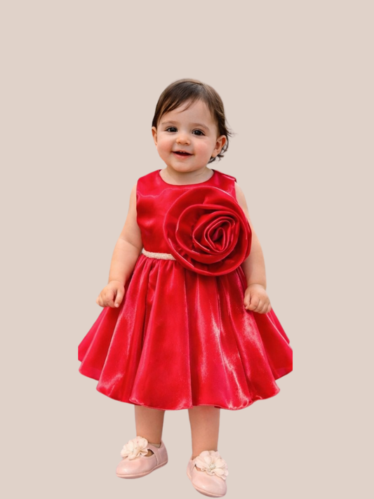 Albion Baby Girl Red Floral Party Dress Princess Fancy Frock