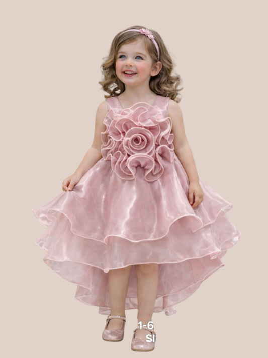 Albion Girls wine Floral Party Dress High Low Princess Fancy Frock