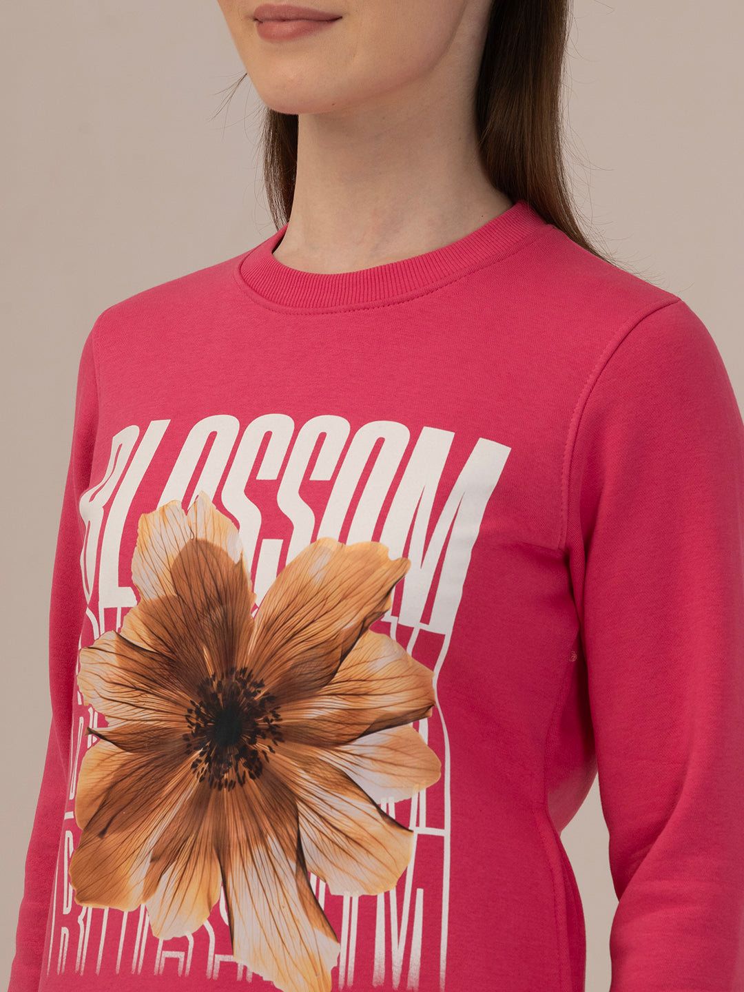 Albion Women Winter Stylish Sweatshirt Beautiful Color