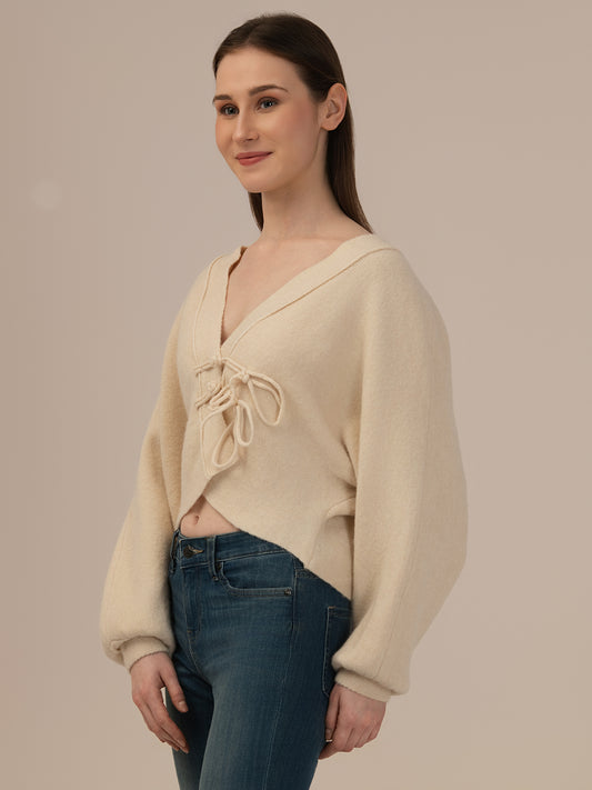 Albion Women Winter Stylish Sweater Brown Daily Wear