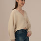 Albion Women Winter Stylish Sweater Brown Daily Wear
