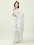 Albion Premium Ladies Gorgeous Ethnic Pista Suit