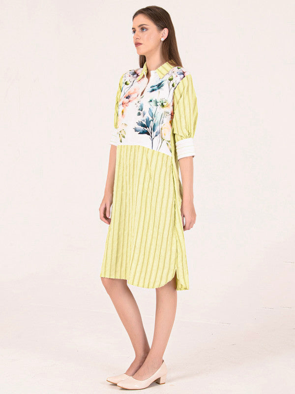 Albion Women Yellow Smart Dress