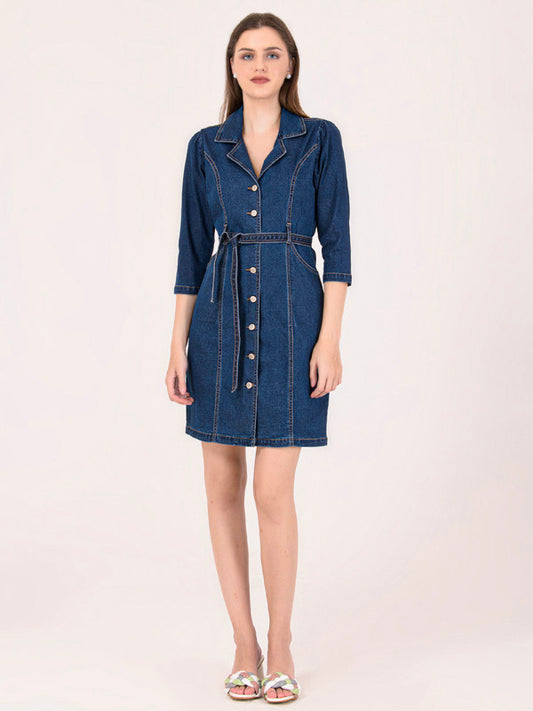 Albion Women Dark Blue Smart Dress