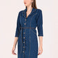 Albion Women Dark Blue Smart Dress