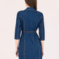 Albion Women Dark Blue Smart Dress