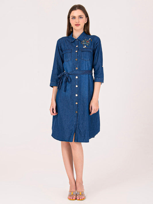 Albion Women Blue Smart Dress