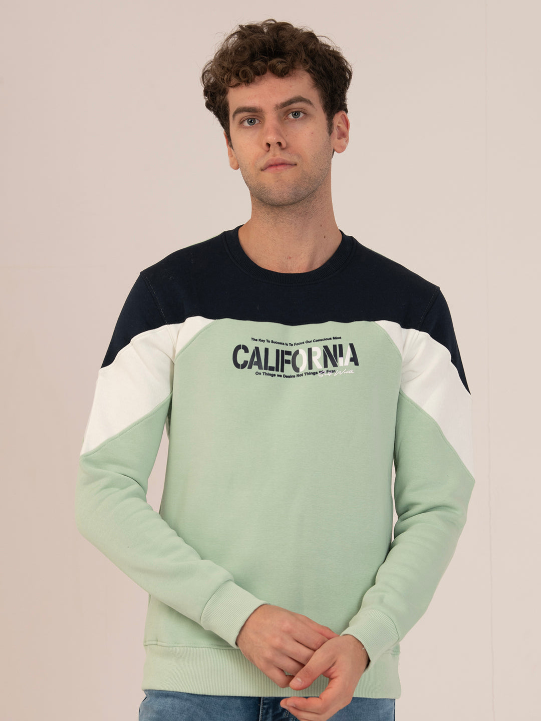 Men’s Winter Streetwear Fit Sweatshirt_Pista