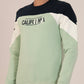 Men’s Winter Streetwear Fit Sweatshirt_Pista