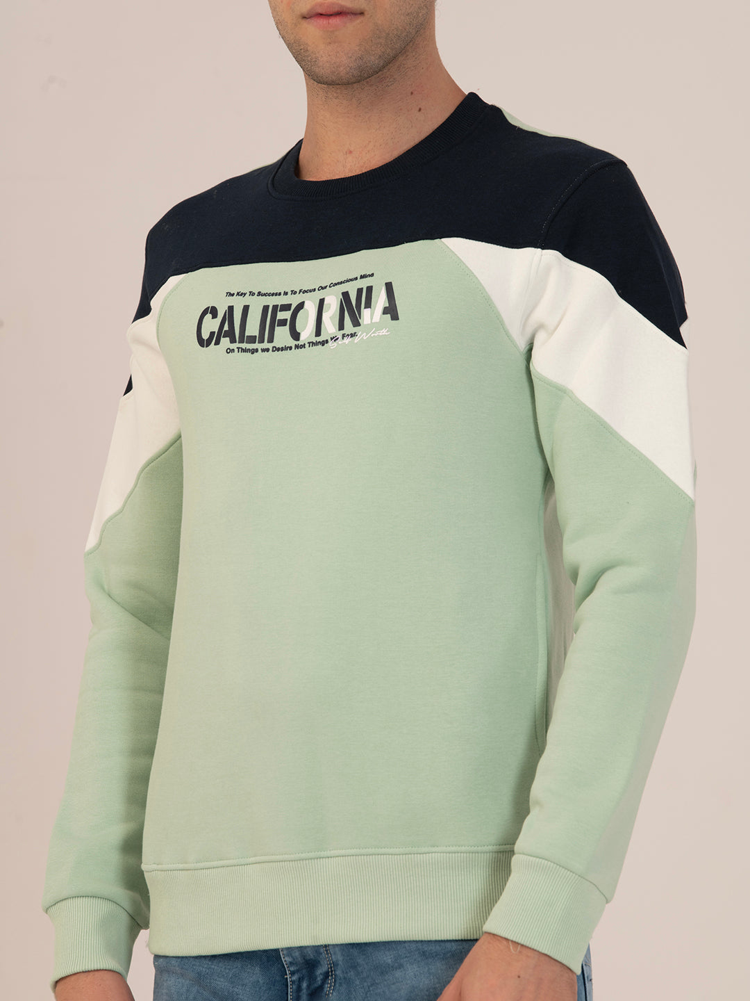 Men’s Winter Streetwear Fit Sweatshirt_Pista