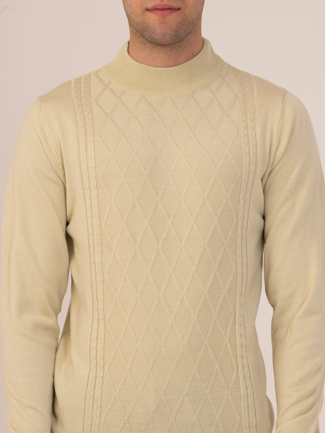 Albion Men’s Classic Cotton Sweatshirt – Casual Wear-Hairy