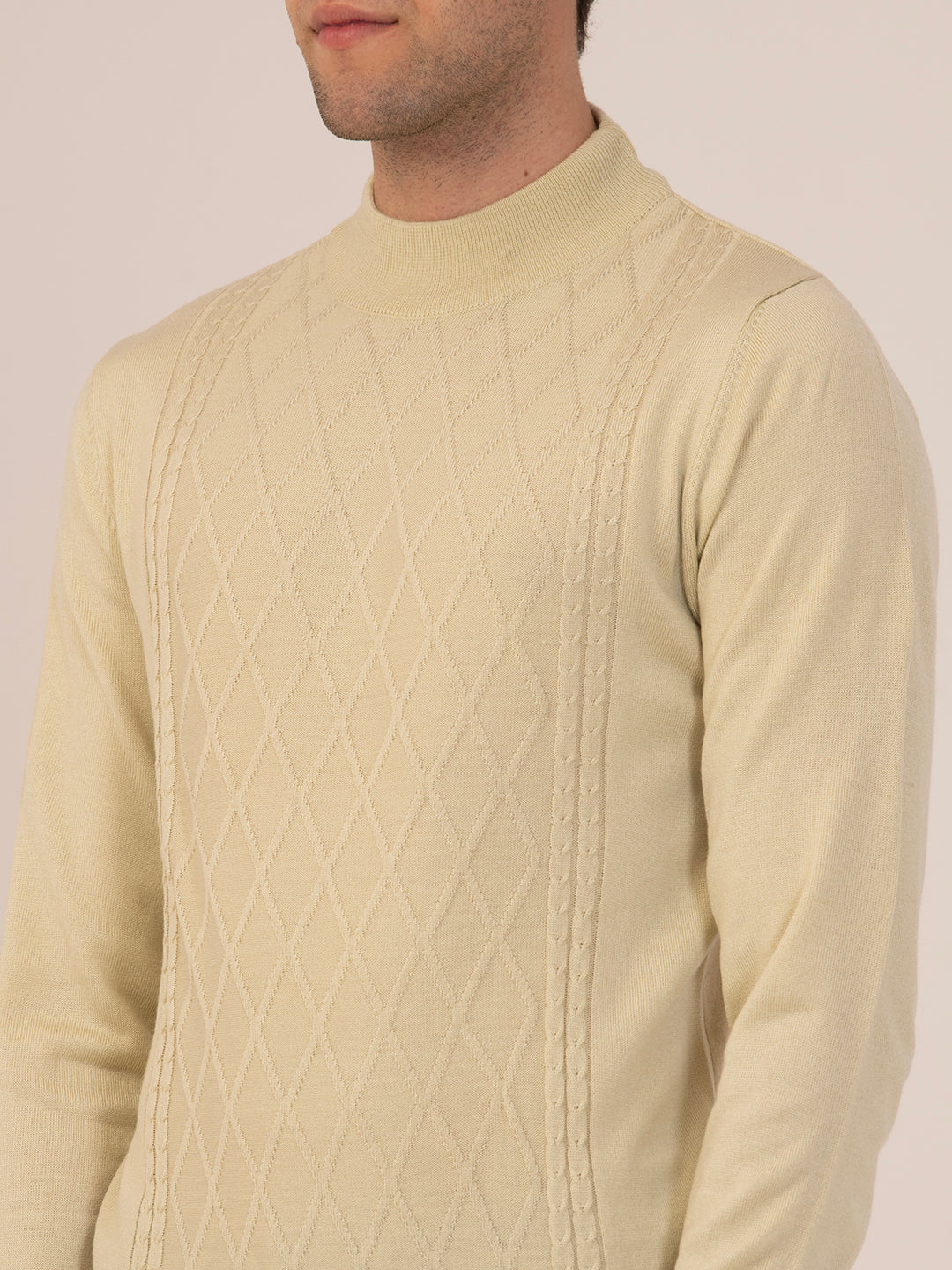 Albion Men’s Classic Cotton Sweatshirt – Casual Wear-Hairy