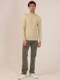 Albion Men’s Classic Cotton Sweatshirt – Casual Wear-Hairy