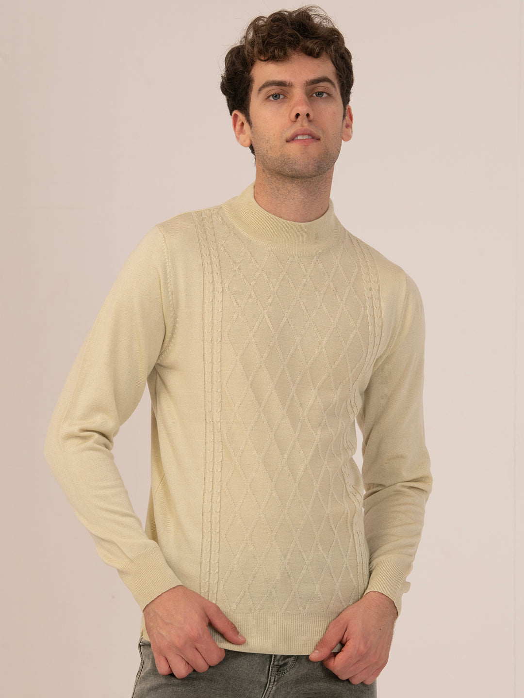 Albion Men’s Classic Cotton Sweatshirt – Casual Wear-Hairy