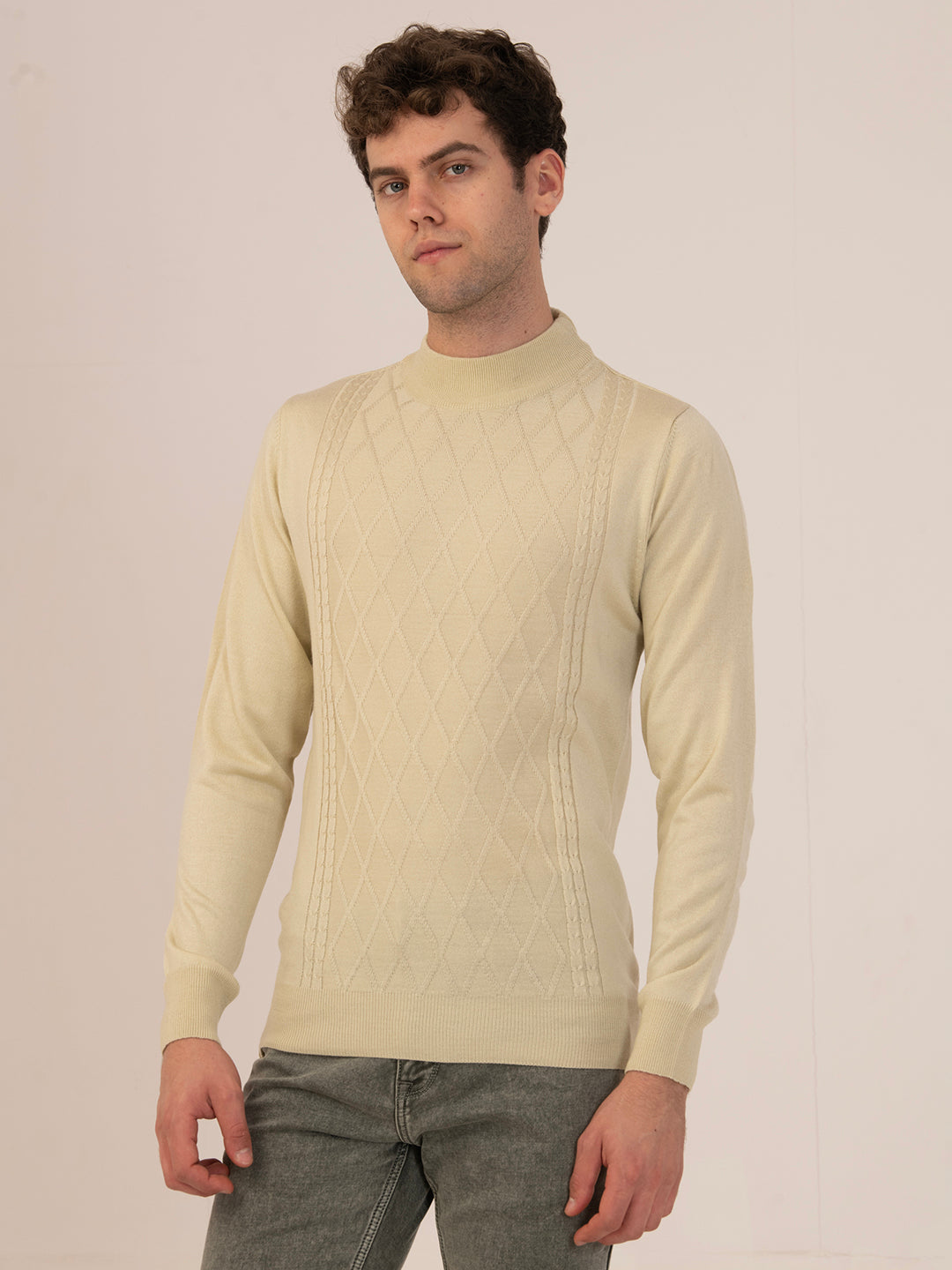 Albion Men’s Winter Sweatshirt for Casual & Active Wear_L.CAMEL