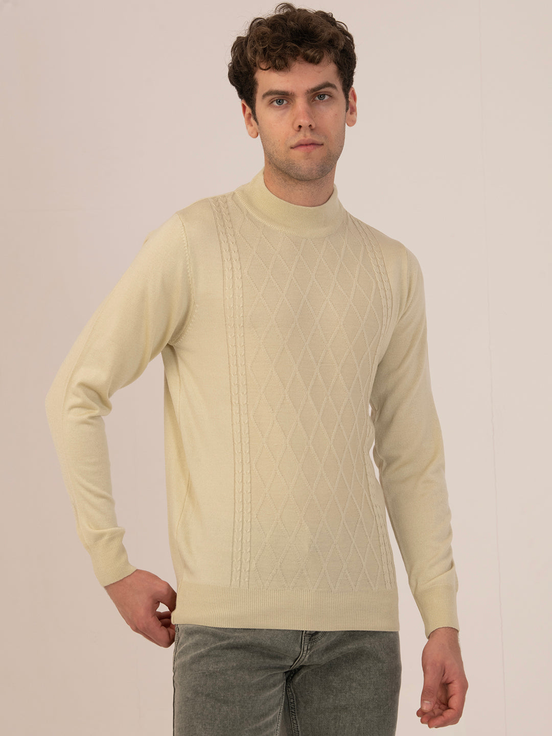 Albion Men’s Classic Cotton Sweatshirt – Casual Wear-Hairy