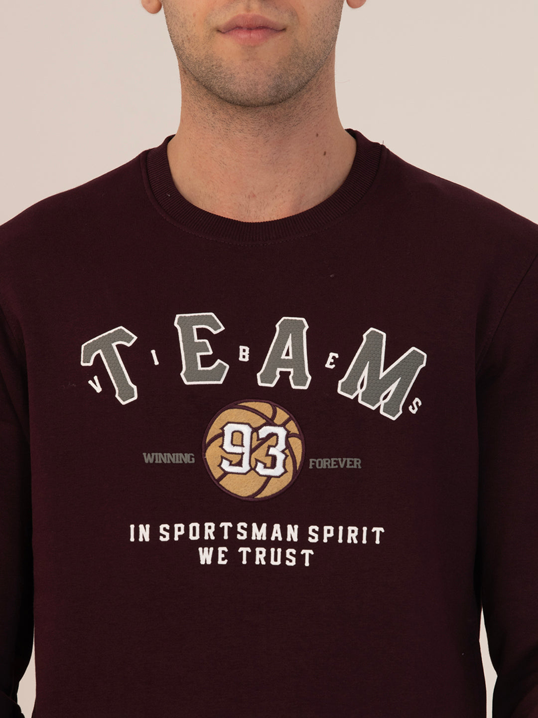 Albion Men’s Winter Waterproof Outdoor Sweatshirt_wine