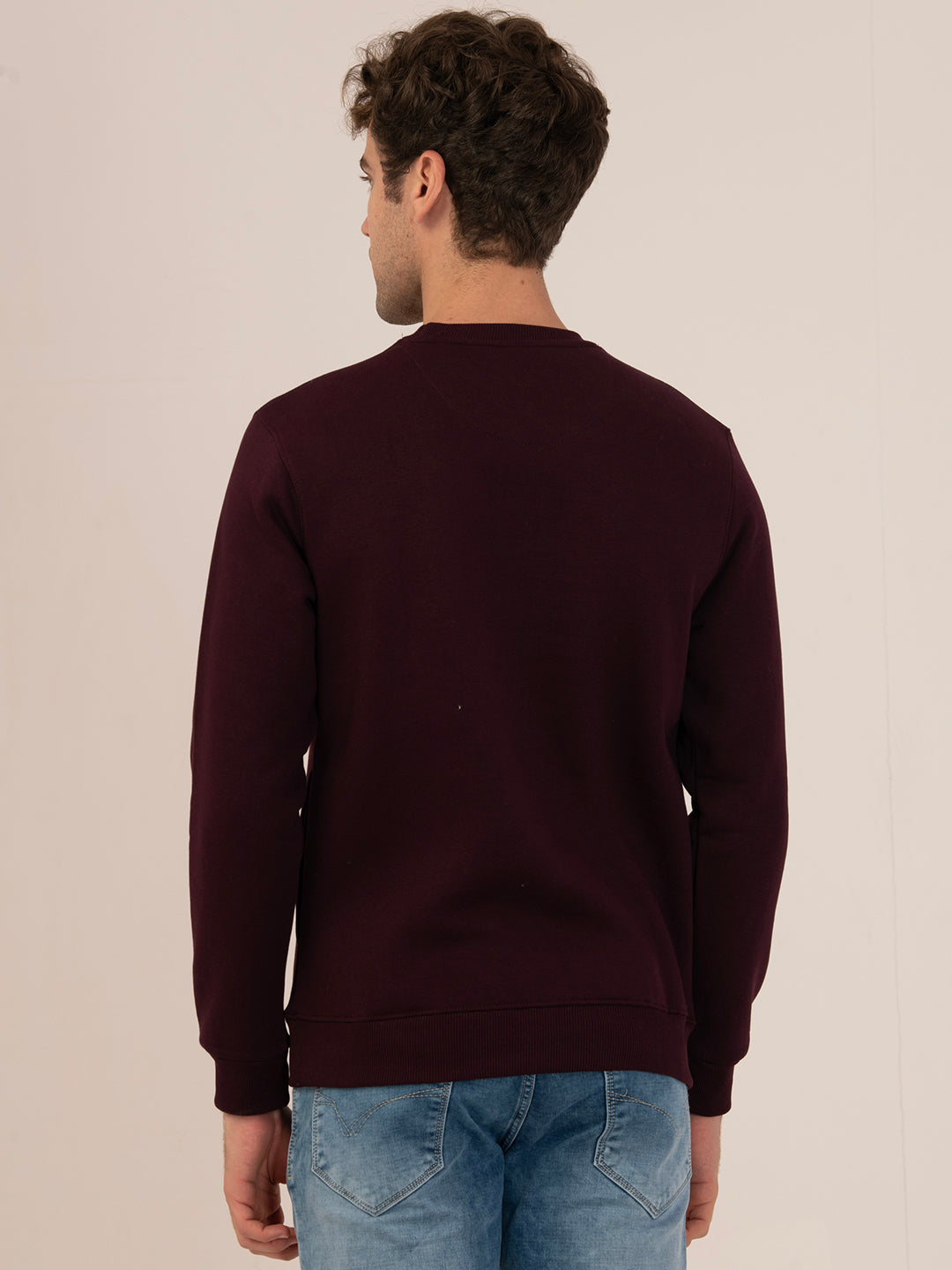 Albion Men’s Winter Waterproof Outdoor Sweatshirt_wine
