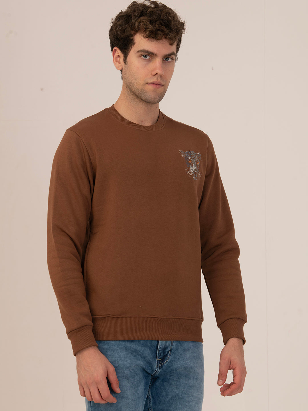 Albion Men’s Winter SnugWear Sweatshirt_coffee