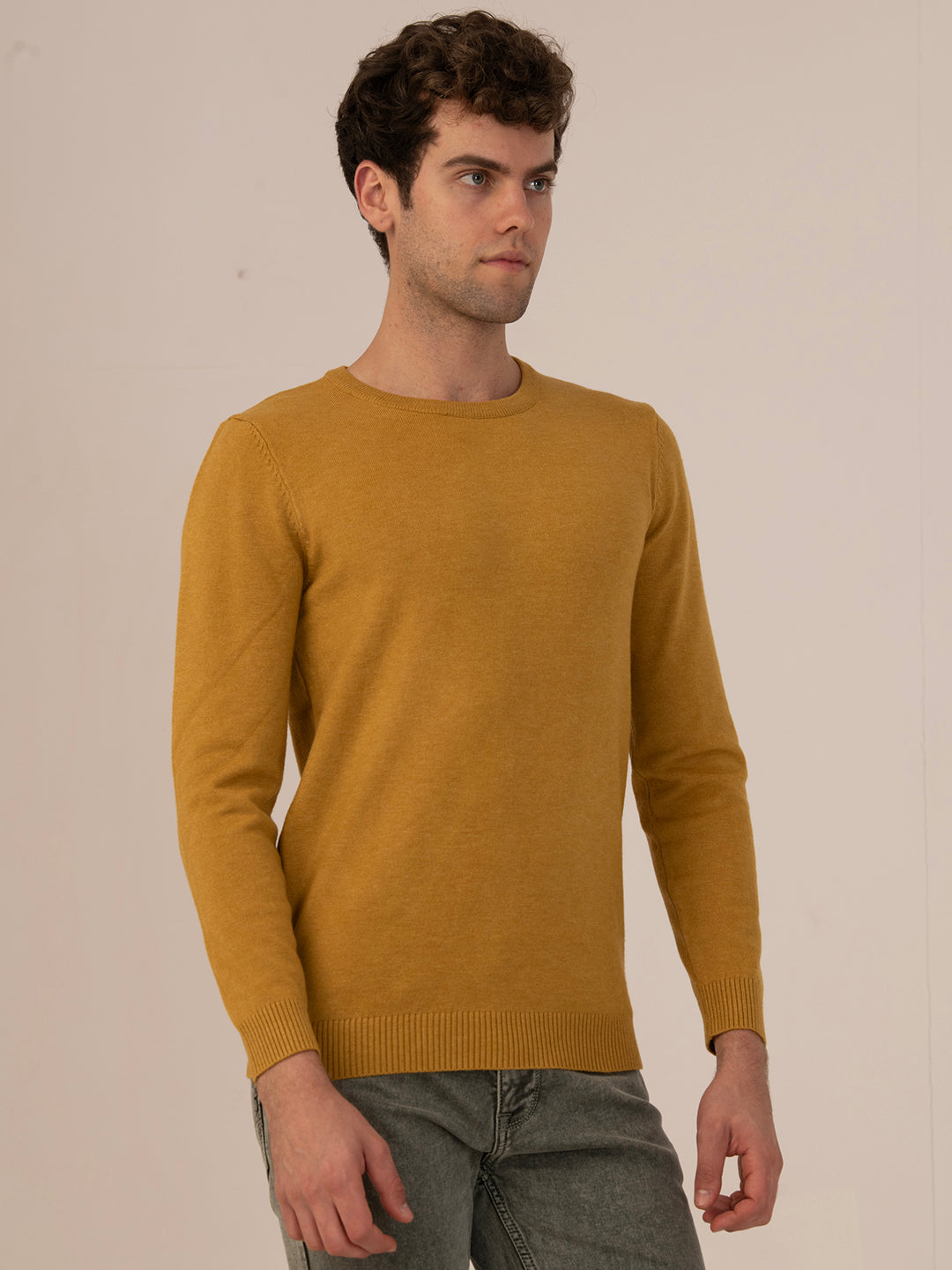 Albion Men’s Winter DailyWear sweater_MUSTARD