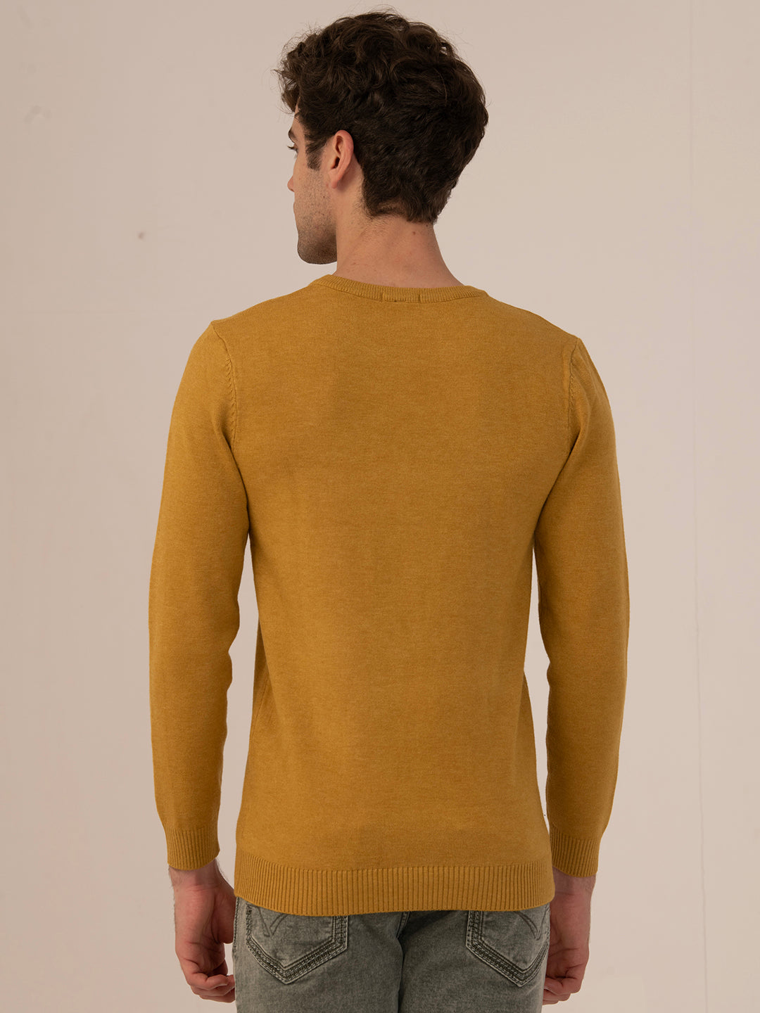 Albion Men’s Winter DailyWear sweater_MUSTARD