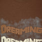 Albion Mens Casual Everyday Wear  Brown T-Shirt, Everyday Essential T-Shirt