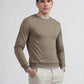 Albion Premium Men's Winter Casual Fawn Solid T-Shirt