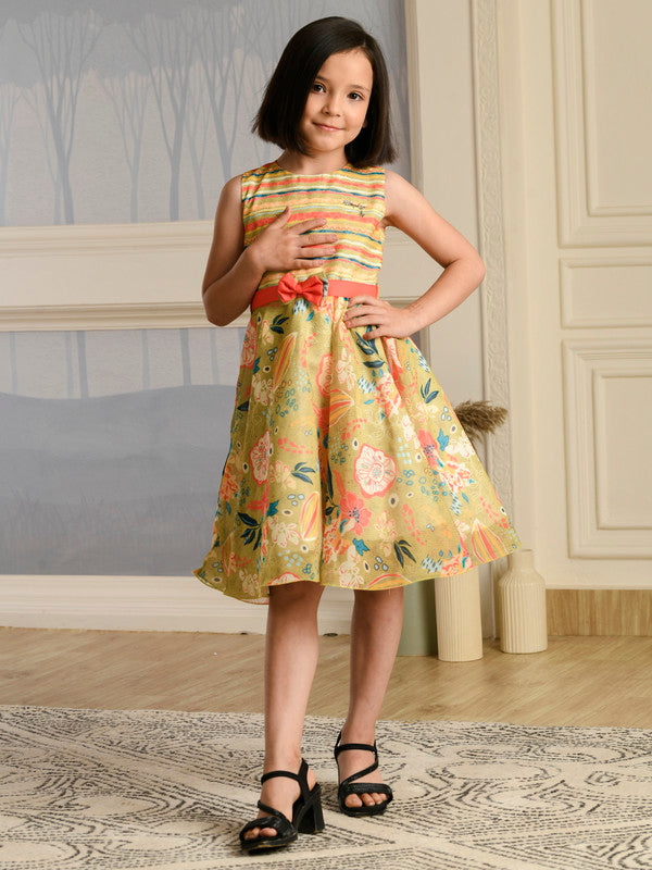 Albion Premium Girls Napoleon Gold Frock