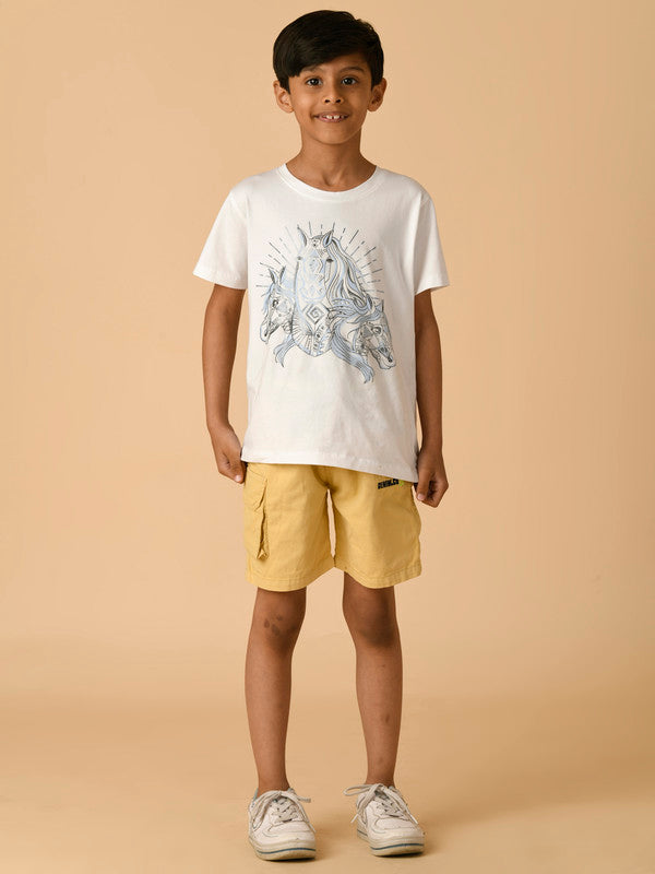 Albion Premium Boys Multi Shorts