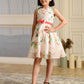 Albion Premium Girls Napoleon Light Pink Frock