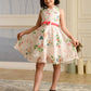 Albion Premium Girls Napoleon Light Pink Frock